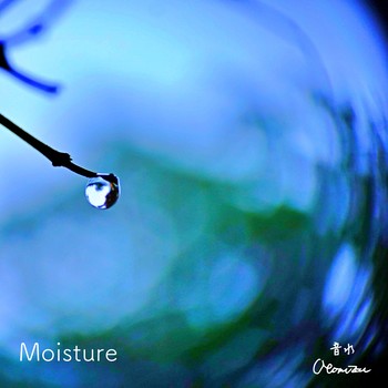 Moisture cover